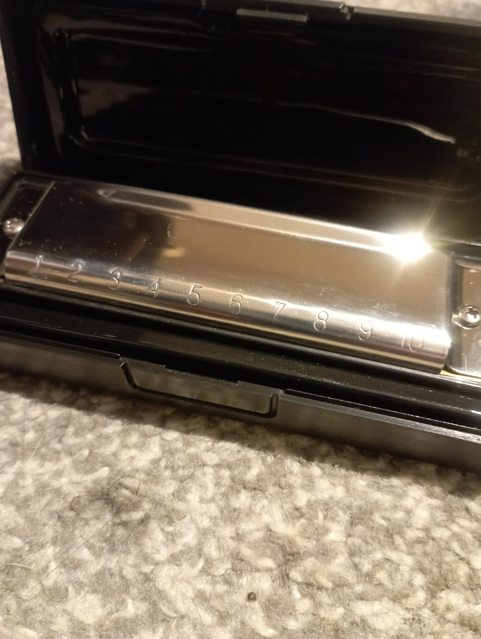 Stainless Steel HARMONICA in Case