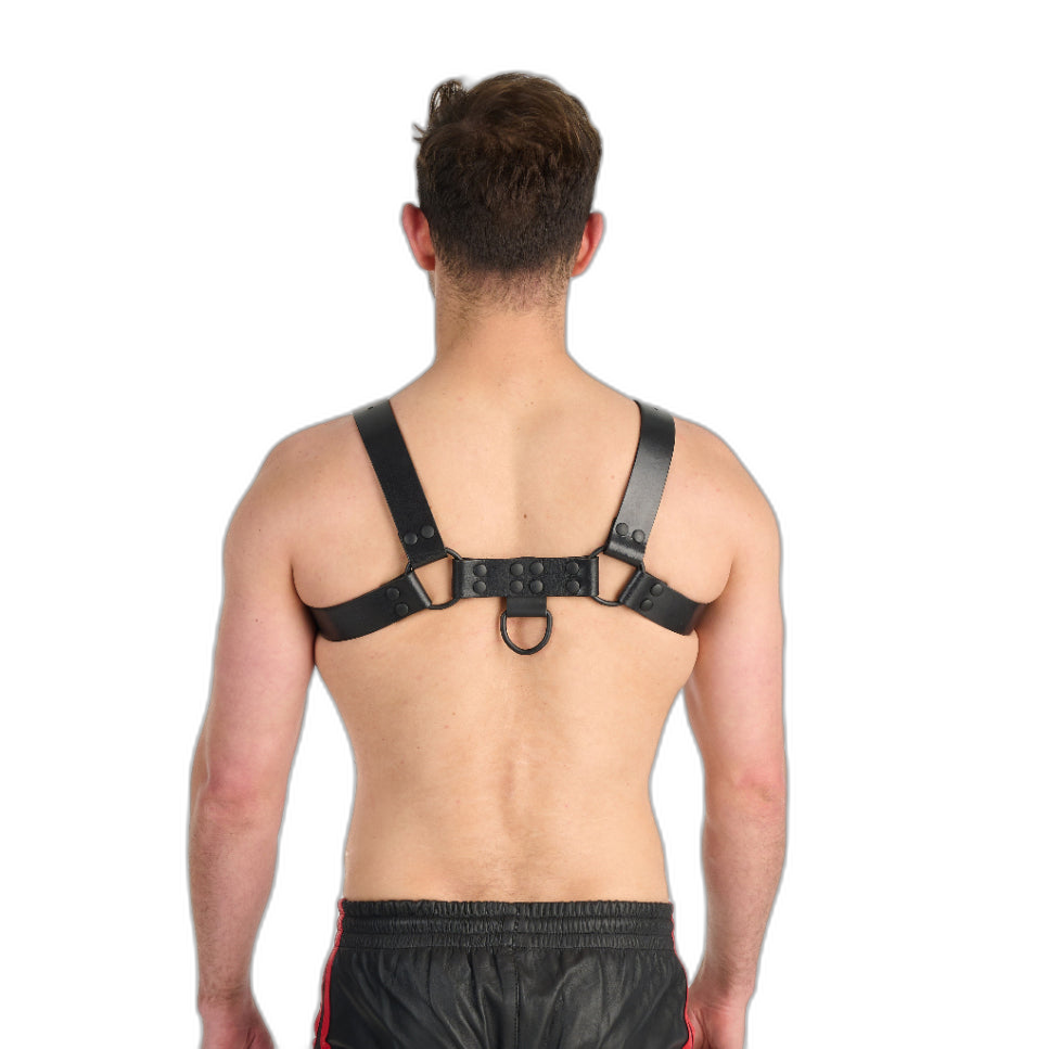 Prowler RED Leather Noir Harness Black