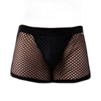 AllureFit Sexy Mesh Boxers Briefs