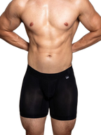 2 Pack Men's Trendy Breathable Ice Silk Boxer Briefs
