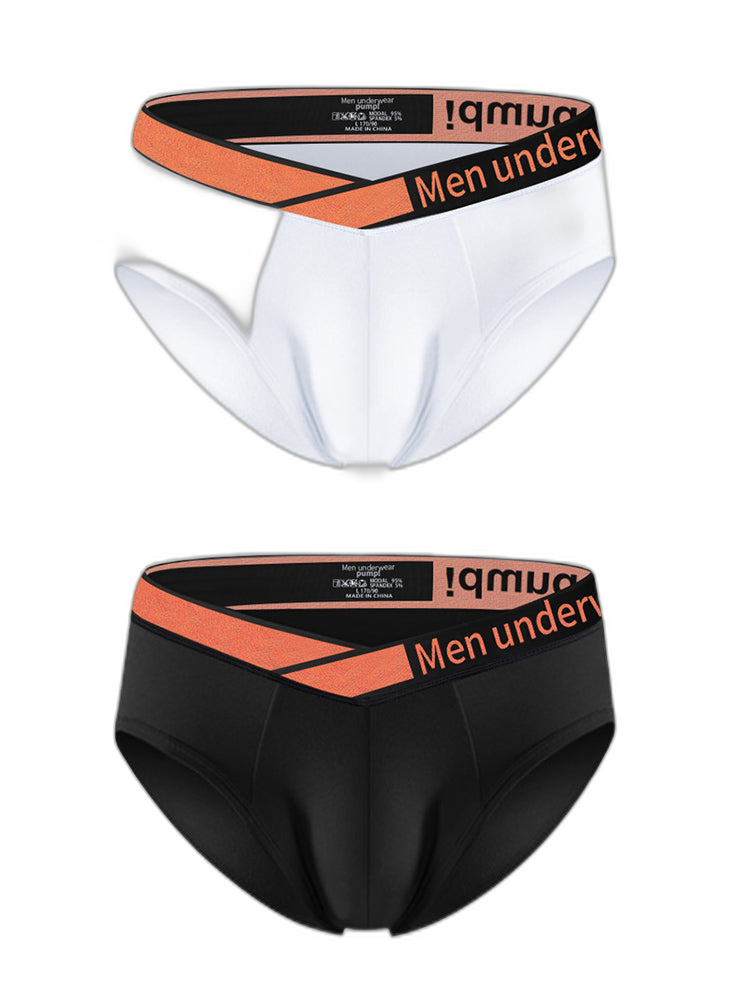 2 Pack Men's Stylish V-Shaped Waistband Briefs