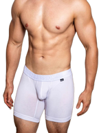2 Pack Men's Trendy Breathable Ice Silk Boxer Briefs