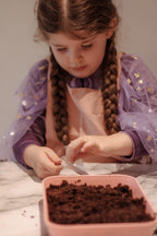 Fairy Garden Starter Kit (Apron,Tray, Shovel, Fairies, Soil & Seeds)