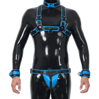 Furrjoi Harness, Cuff, Collar, Lead Underwear Bundle Blue
