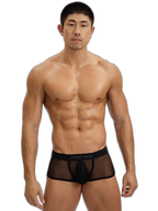 2-Pack Men's Breathable Mesh Ice Silk U-convex Low Waist Boxer Briefs