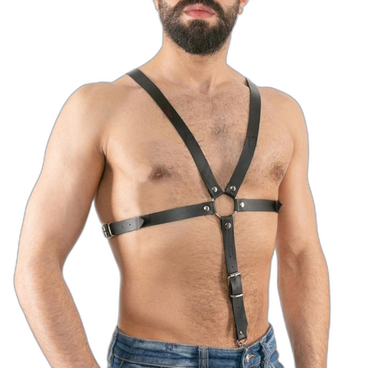 Buckle Up Buddy Black Harness