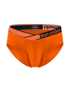 2 Pack Men's Stylish V-Shaped Waistband Briefs