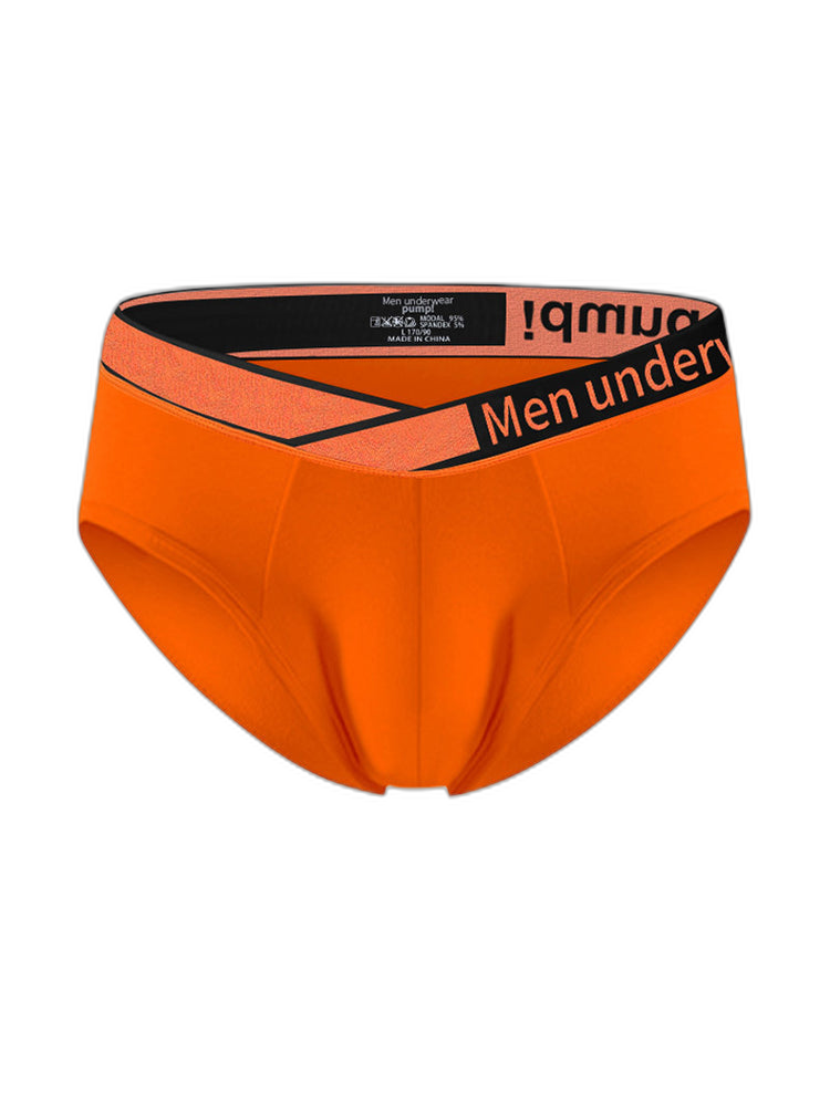 2 Pack Men's Stylish V-Shaped Waistband Briefs