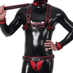 Furrjoi Harness, Cuff, Collar, Lead Underwear Bundle Red