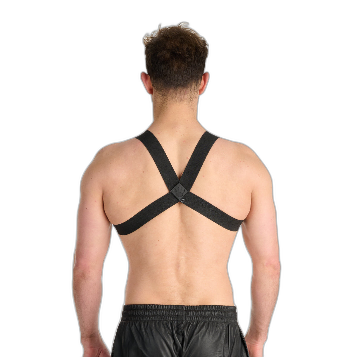 Prowler RED Sports Harness Black