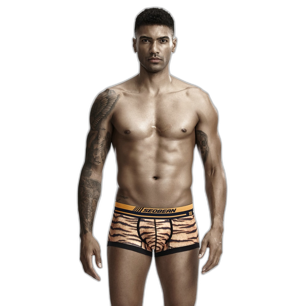 Seobean Tiger Boxers