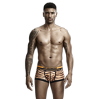 Seobean Tiger Boxers