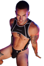 Breedwell Gymnetixxx Tank Harness Black