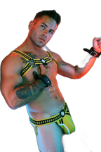 Breedwell Daddys Favourite Bulldog Harness Yellow