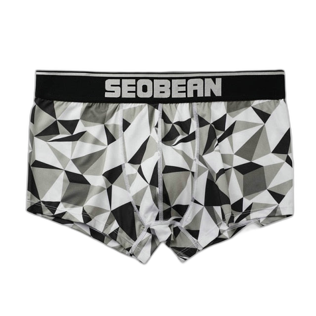 Seobean Geometric Boxers