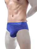2 Pack Men's Silky Touch Health Briefs