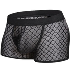 Transparent Mesh Boxers