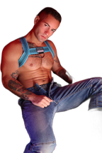 Breedwell Cumdump Bulldog Harness Aqua Blue