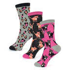 Sock Stack Womens Cotton Rich Socks 6 Pairs UK Size 4-7 Breathable Durable Reinforced Heel Toe Multipack Value