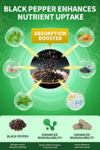 Organic Oil of Oregano Capsules with Black Seed Oil, Garlic, Turmeric, Holy Basil, Vitamin D3, E & Black Pepper – 4 Month Supply (Vegan, Non-GMO)