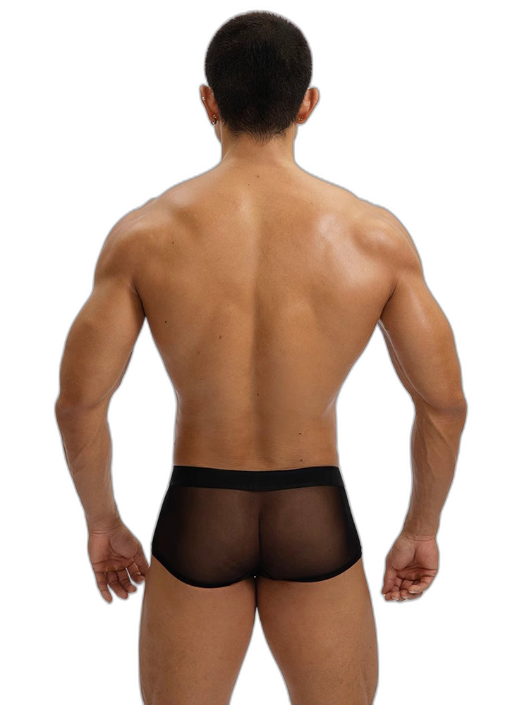 2-Pack Men's Breathable Mesh Ice Silk U-convex Low Waist Boxer Briefs