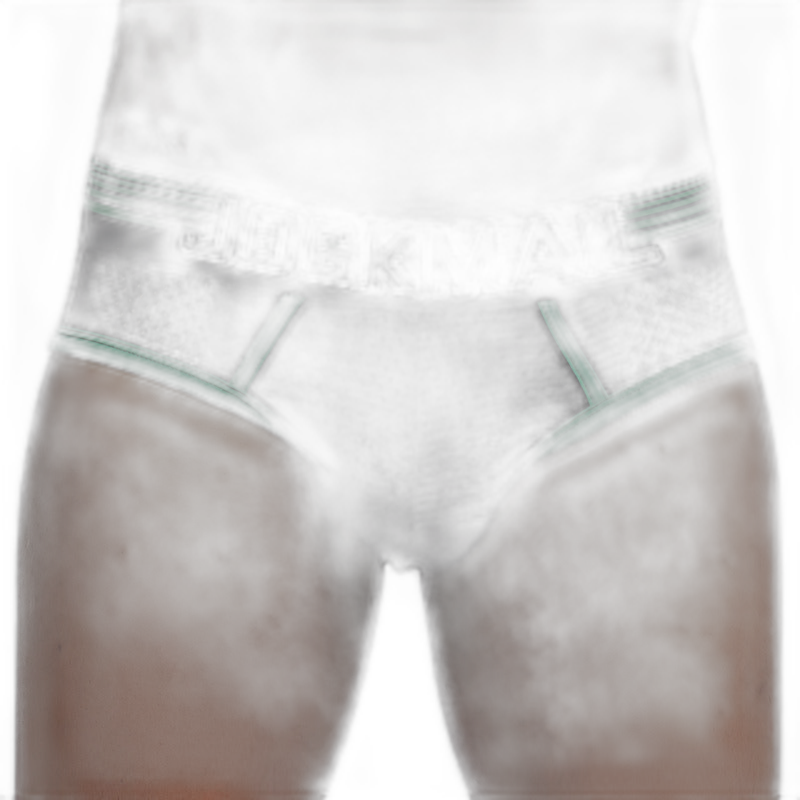 Sports Comfort Mesh Briefs