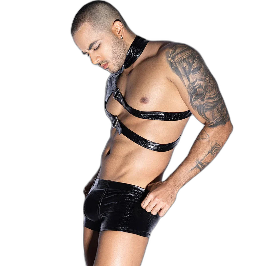 Dom's Dark Desire Harness Set