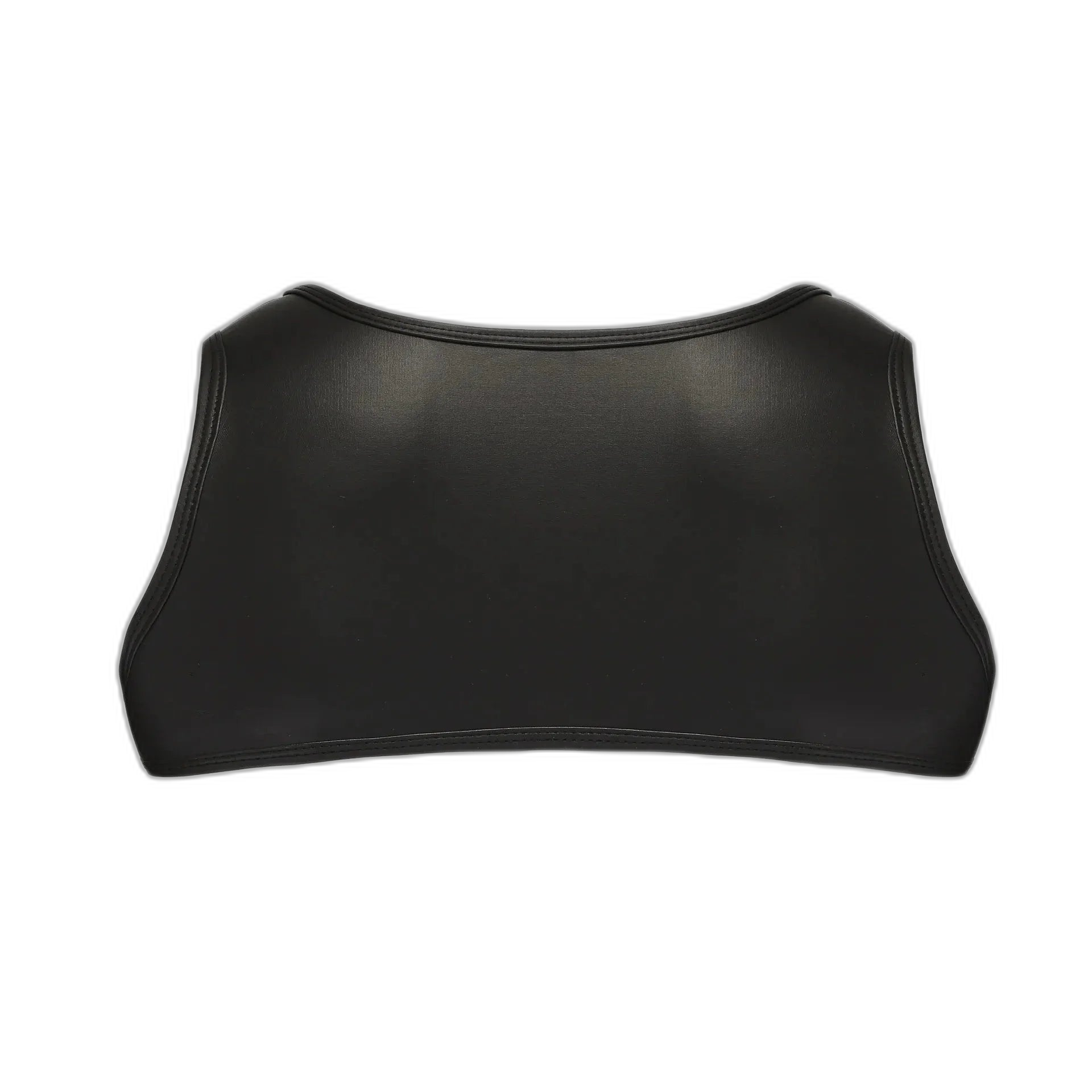 Twin Buckle Leather Harness