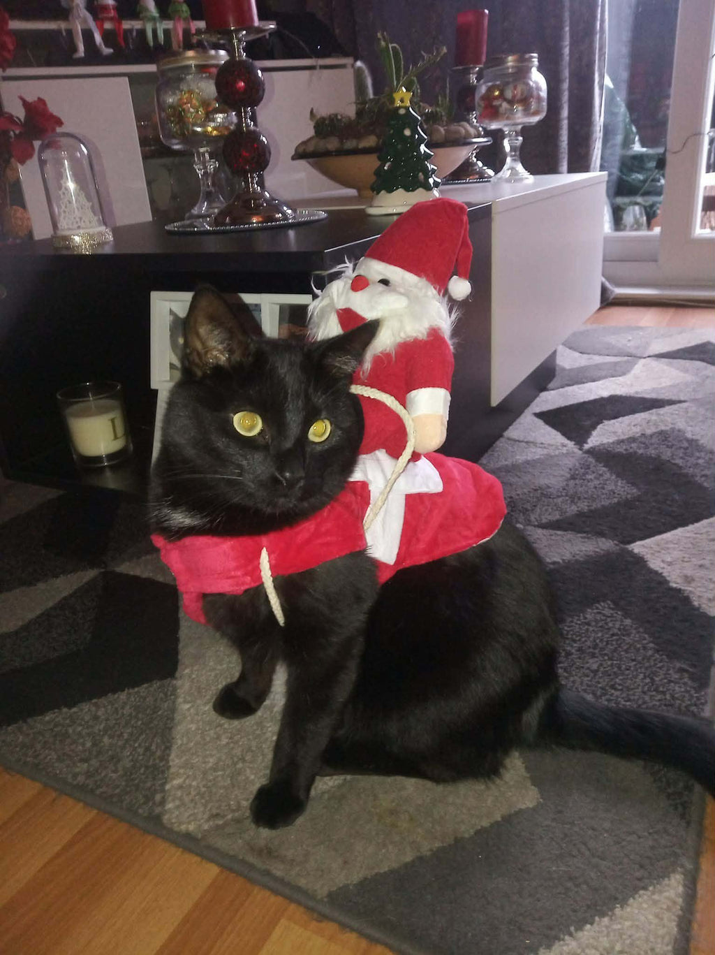 CAT FUN CHRISTMAS SANTA HAT with strap