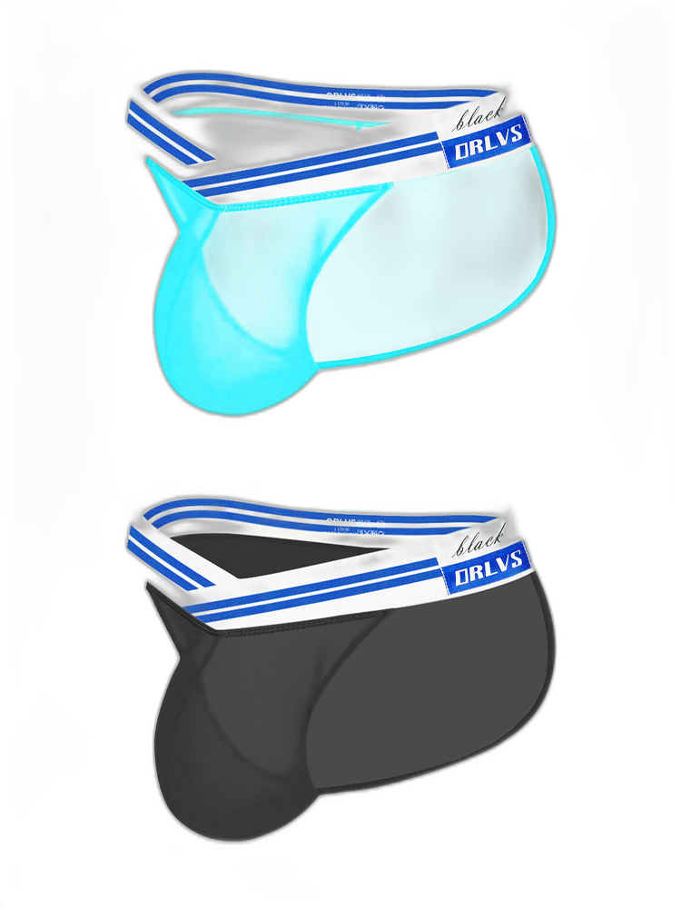 2-pack Men's Sexy Semi-transparent Mesh Briefs