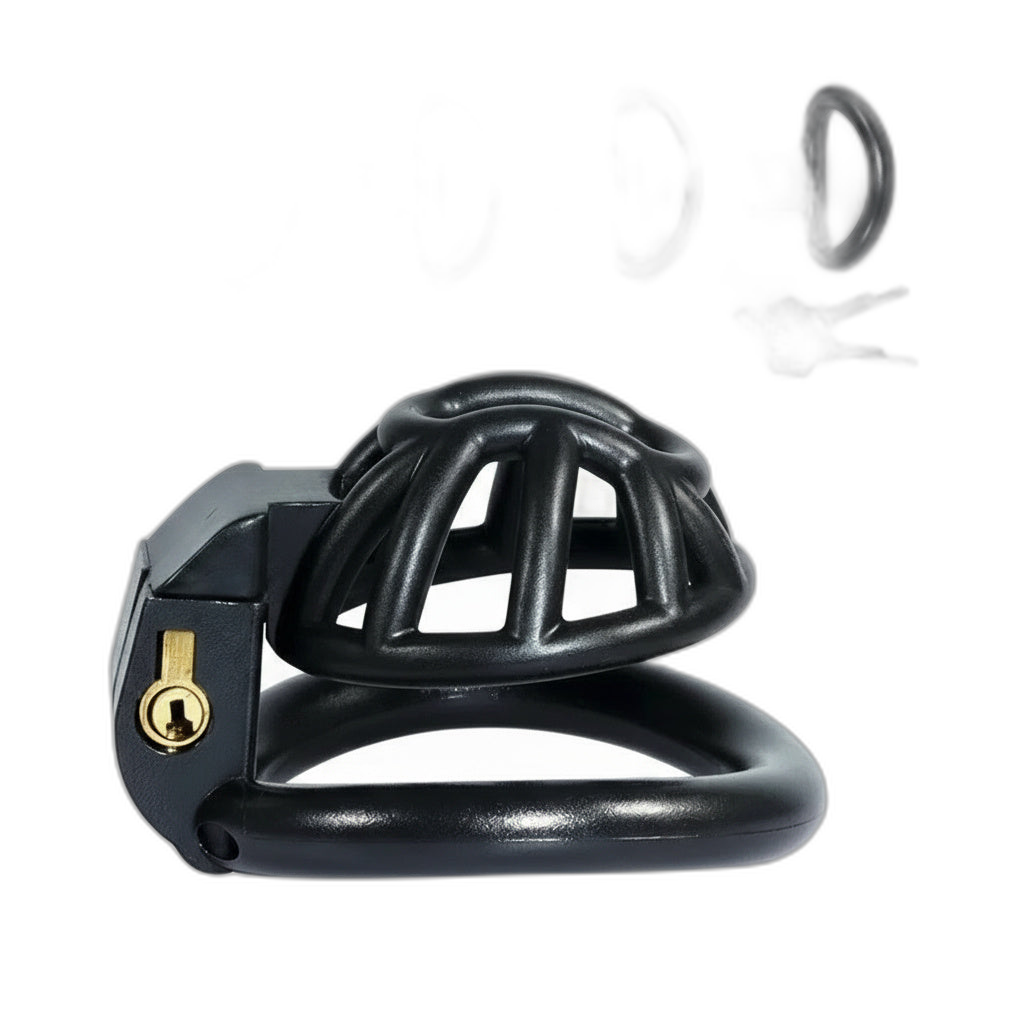 PushTech Chastity Cage With 4 Ring Sizes