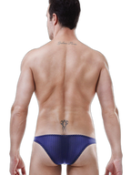 Men's Mesh Ice Silk Breathable Briefs
