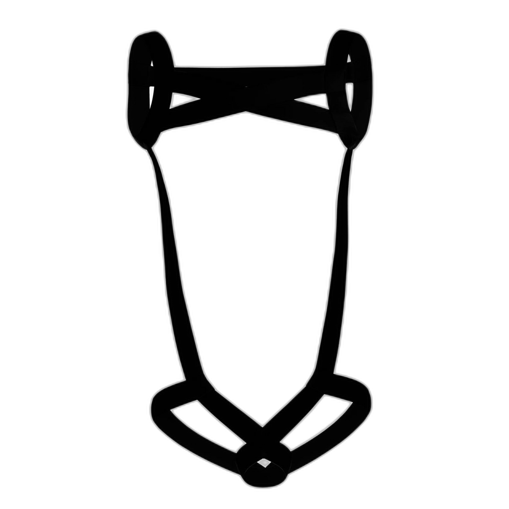 Sexy Men's Full Body Harness