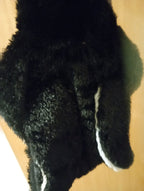 DOG FUN PENGUIN COSTUME XL