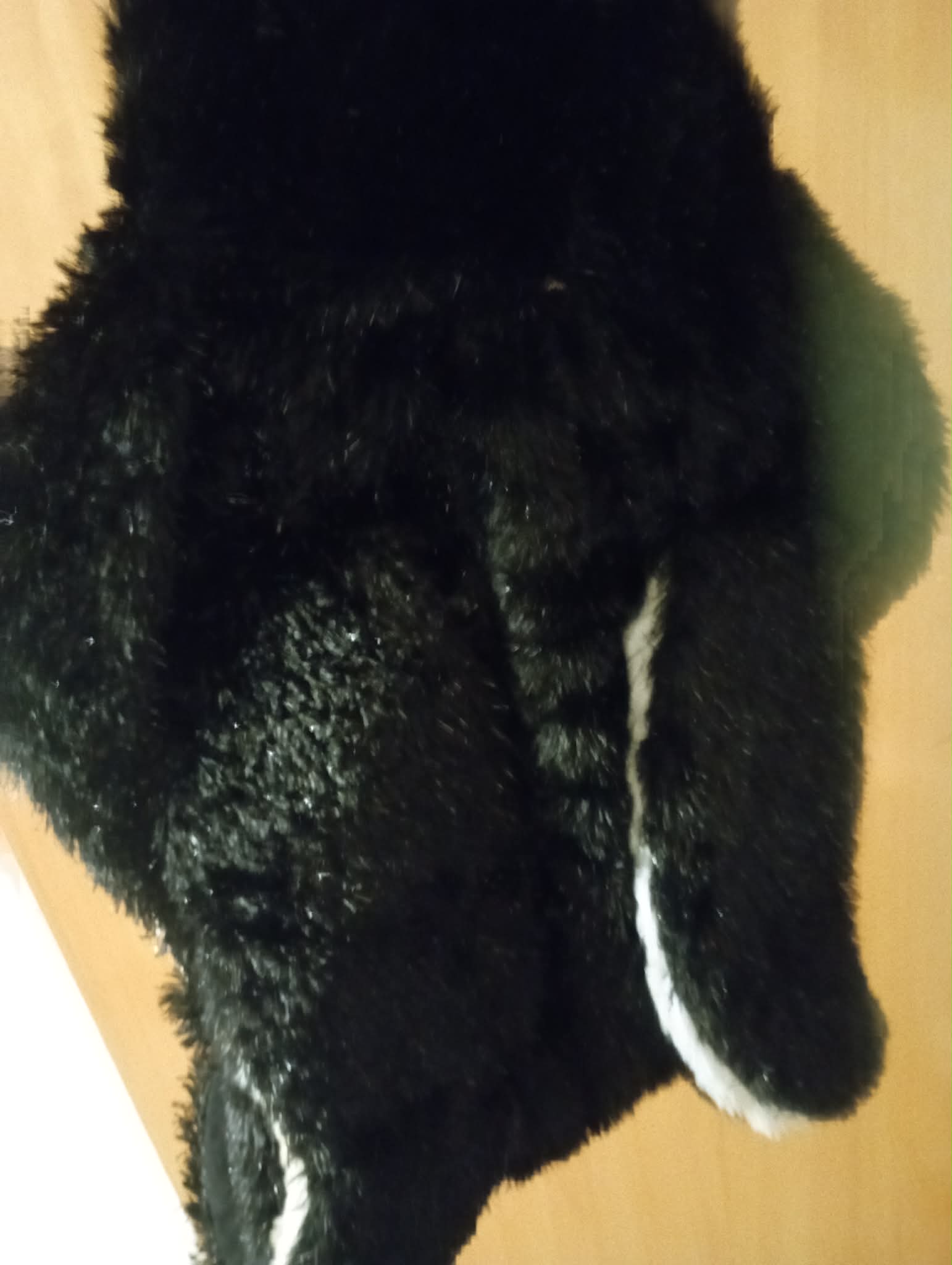DOG FUN PENGUIN COSTUME XL