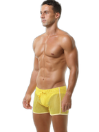 Men's Hollowed Out Breathable Boxer Briefs