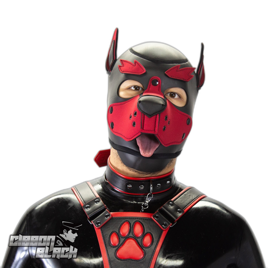 Standard Neoprene Pup Hood