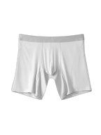 2 Pack Men’s Casual Ice Silk Midway Briefs
