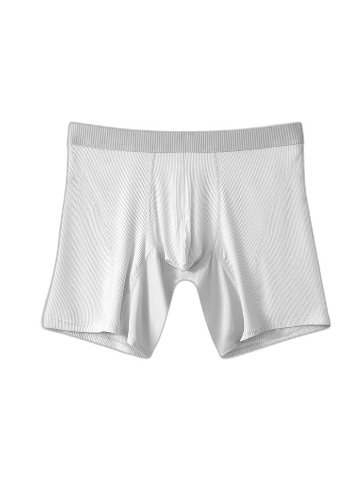 2 Pack Men’s Casual Ice Silk Midway Briefs