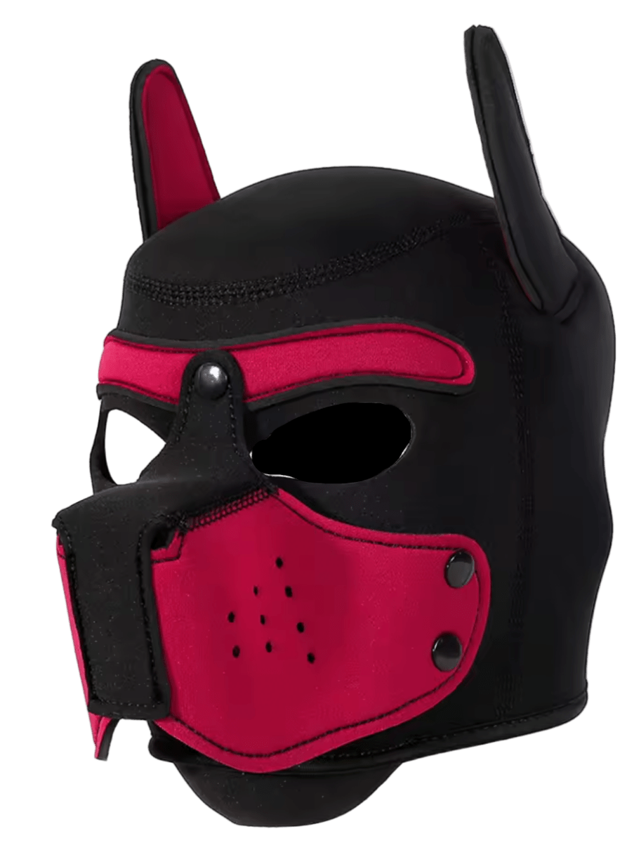Puppies First Hood Red