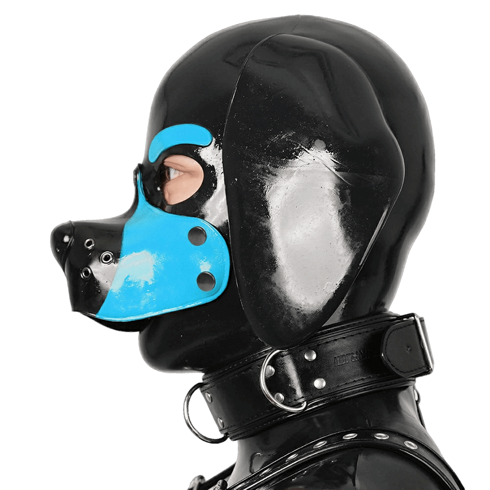 Furrjoi Silicone Beagle Hood Light Blue