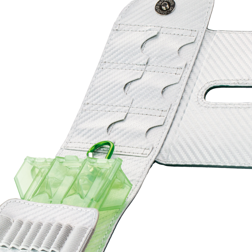 Bull's SECC Dartcase Green