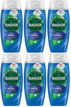 6 x Radox Mineral Therapy Body Wash Feel Awake 225 Ml