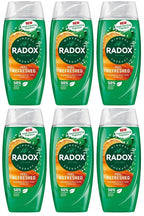 6 x Radox Mineral Therapy Body Wash Feel Refreshed 225 Ml