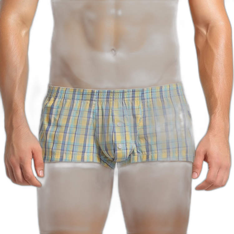 SEOBEAN Oxford Style Cotton Boxers
