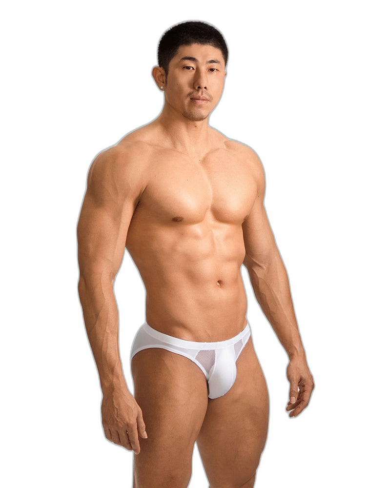 2 Pack Men's Sheer Mesh Low-Rise Sexy Ice Silk Briefs
