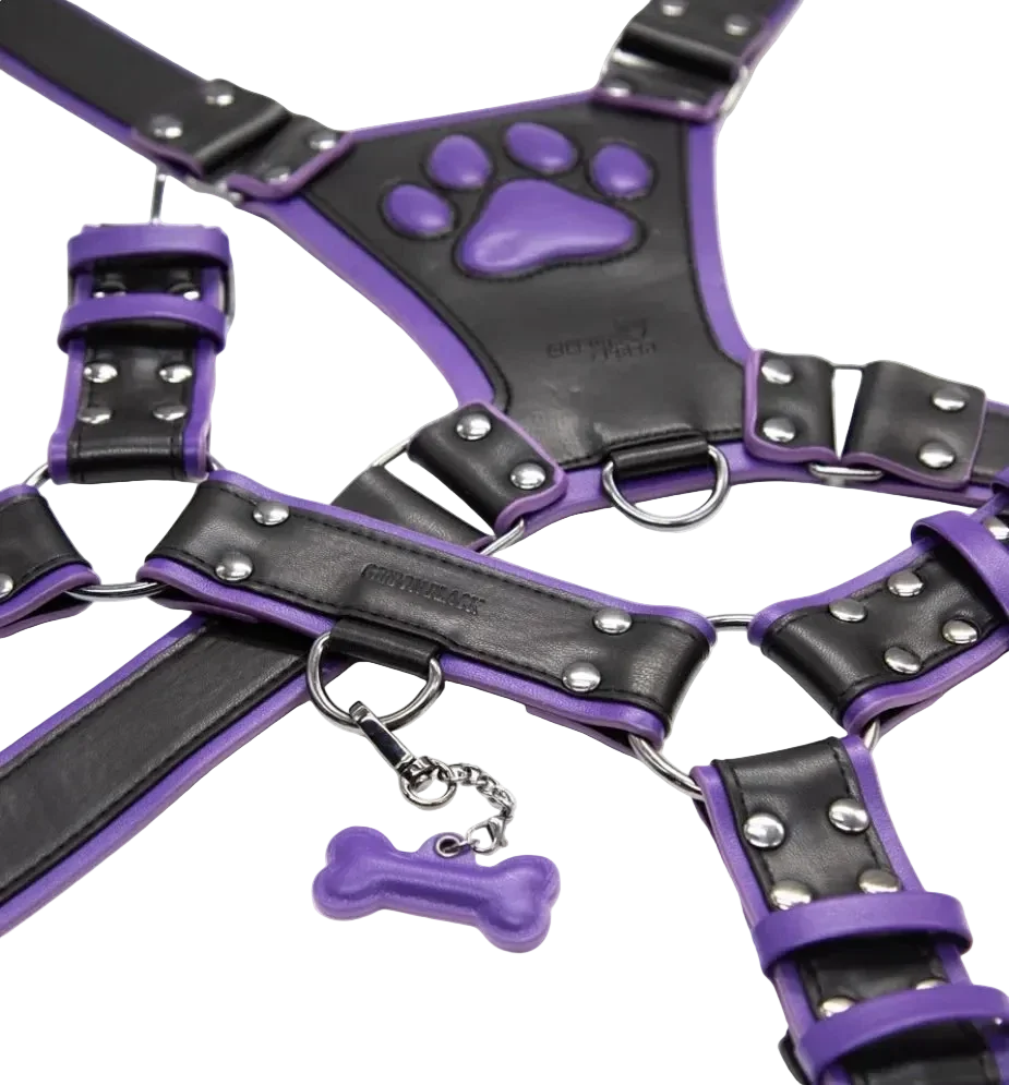 PU Leather Puppy Harness