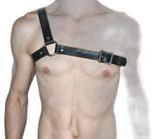 Gladiator Harness