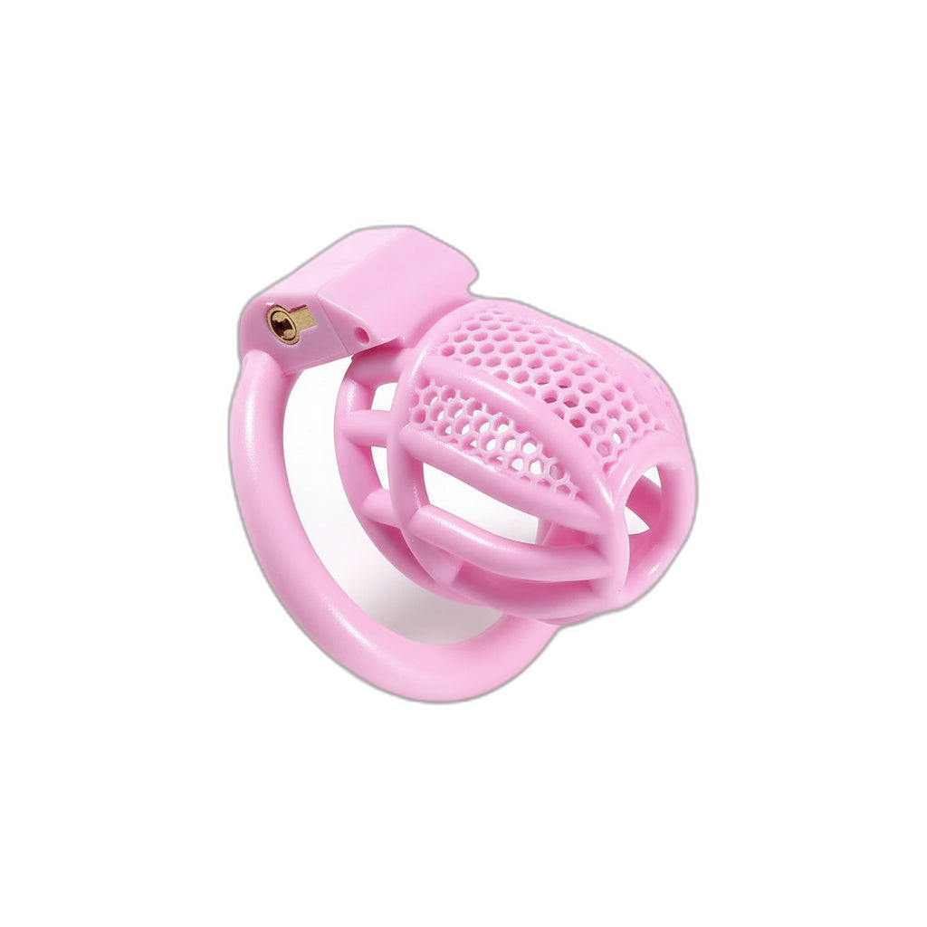 HexMesh Mini Chastity Cage With 4 Ring Sizes