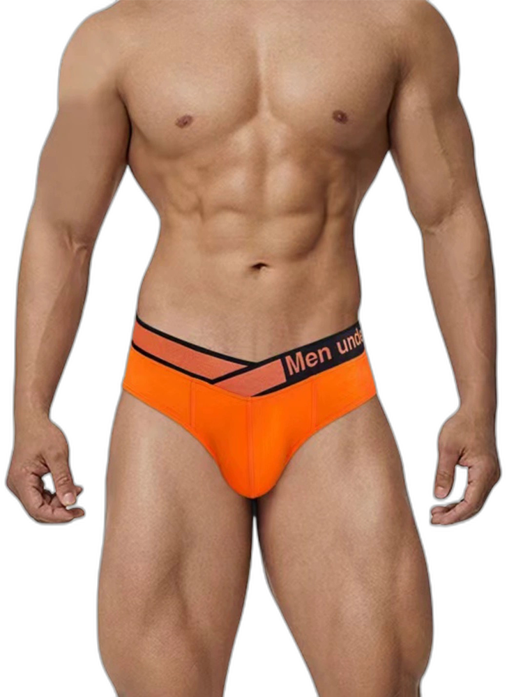 2 Pack Men's Stylish V-Shaped Waistband Briefs